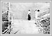  Pontoon Bridge‚ Elm Park 1900 03-033 Tribune Pictures UofM Special Archives